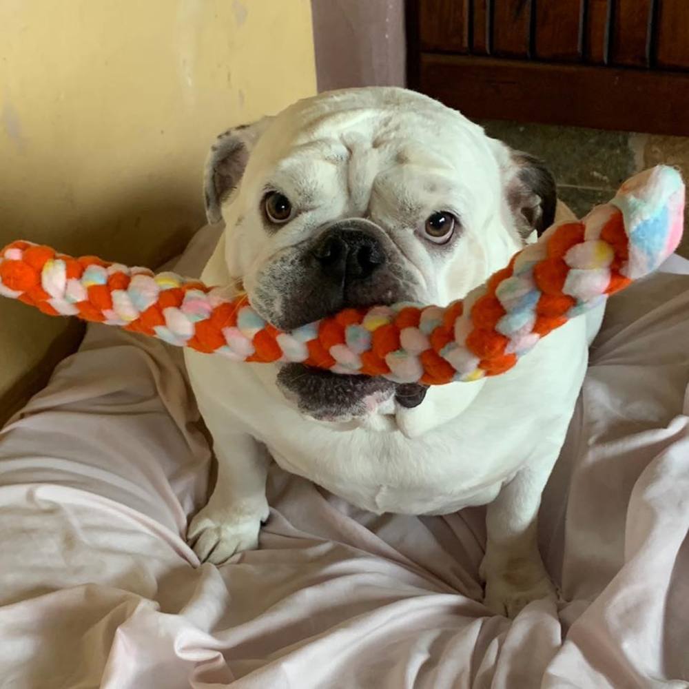 Meet your Posher, Lena